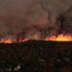 Wütende Waldbrände: "Wir hatten keine Zeit" – Feuer zerstört 130 Häuser in Kalifornien