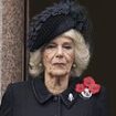 Queen Camilla, 77, will not attend Festival of Remembrance nor Cenotaph service as she continues to battle chest infection