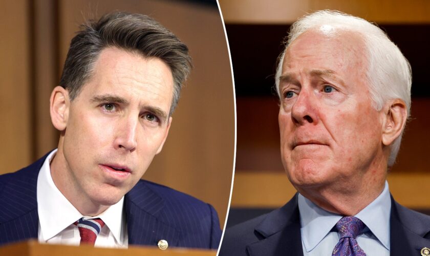 Sen. Josh Hawley 'delighted' to back Sen. John Cornyn for Senate Majority Leader