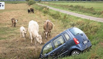 So wird die Kfz-Versicherung günstiger