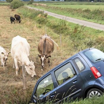 So wird die Kfz-Versicherung günstiger