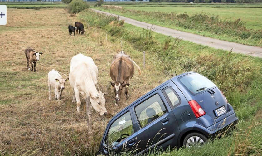 So wird die Kfz-Versicherung günstiger