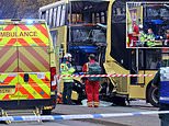 Horror bus crash leaves 17 in hospital after two double-deckers smash into each other head-on