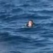 Twist in miracle survival of man who swam for 19 hours after falling off a cargo ship as three items are found strapped to his body