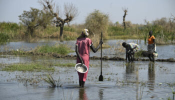 Au Soudan du Sud, les inondations affectent 1,4 million de personnes