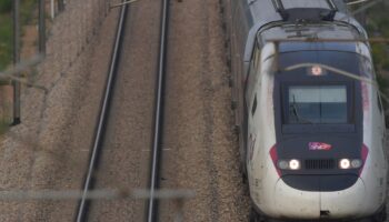 Un TGV sur la ligne Paris-Bordeaux, le 31 août 2024