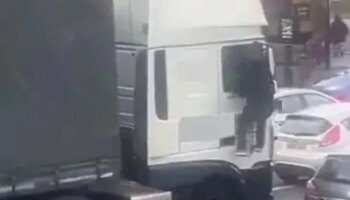 Moment thug climbs into lorry through window to attack driver in road rage brawl