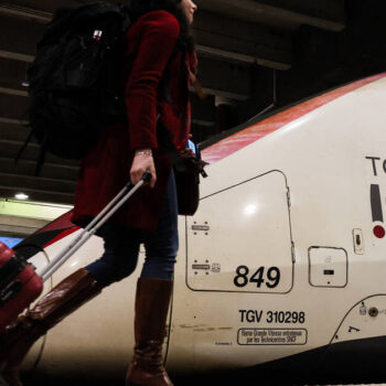 Chat écrasé gare Montparnasse : la SNCF finalement relaxée