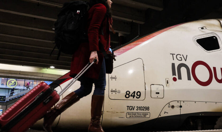 Chat écrasé gare Montparnasse : la SNCF finalement relaxée