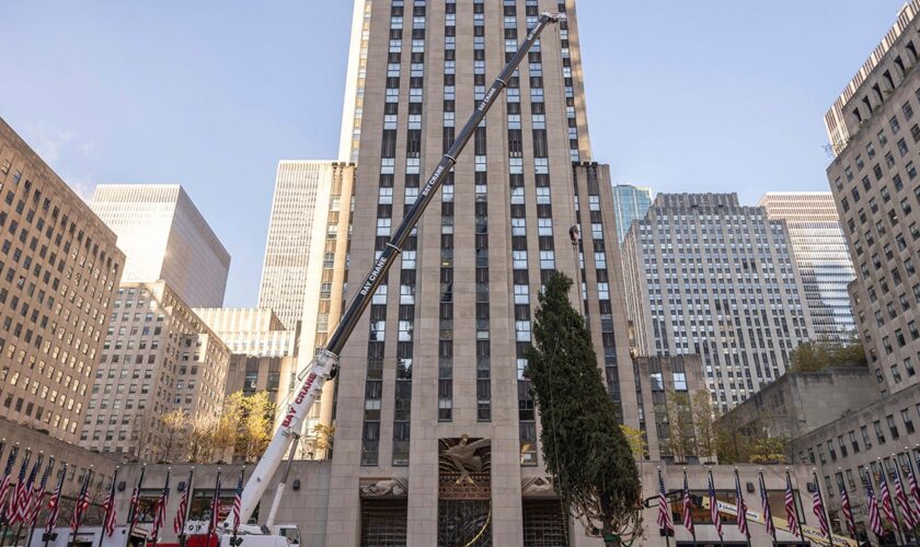 Haul out the holly! Rockefeller Center Christmas tree arrives in New York City