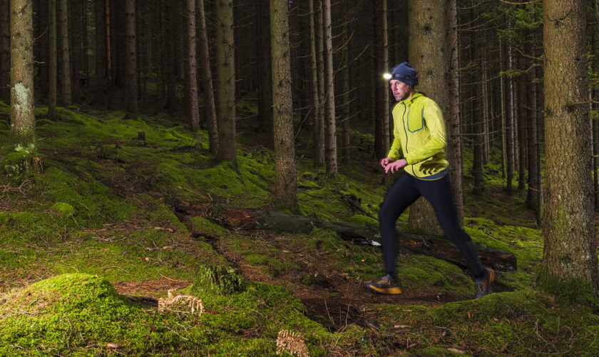 Chasse : non, il ne faudra pas s’habiller en fluo pour aller se promener en forêt