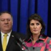 Regierungsbildung in den USA: Trump schließt Regierungsposten für Nikki Haley und Mike Pompeo aus