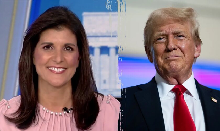 Nikki Haley responds after Trump says she won't be part of new cabinet, says she wishes him 'great success'