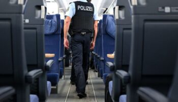 Bundespolizisten prüfen, ob ein Fußballfan eine Zugbegleiterin belästigt hat. (Symbolbild) Foto: Sven Hoppe/dpa