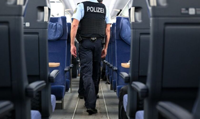 Bundespolizisten prüfen, ob ein Fußballfan eine Zugbegleiterin belästigt hat. (Symbolbild) Foto: Sven Hoppe/dpa