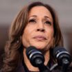 Here are the top 5 Democrats who could lead the party after Kamala’s fall