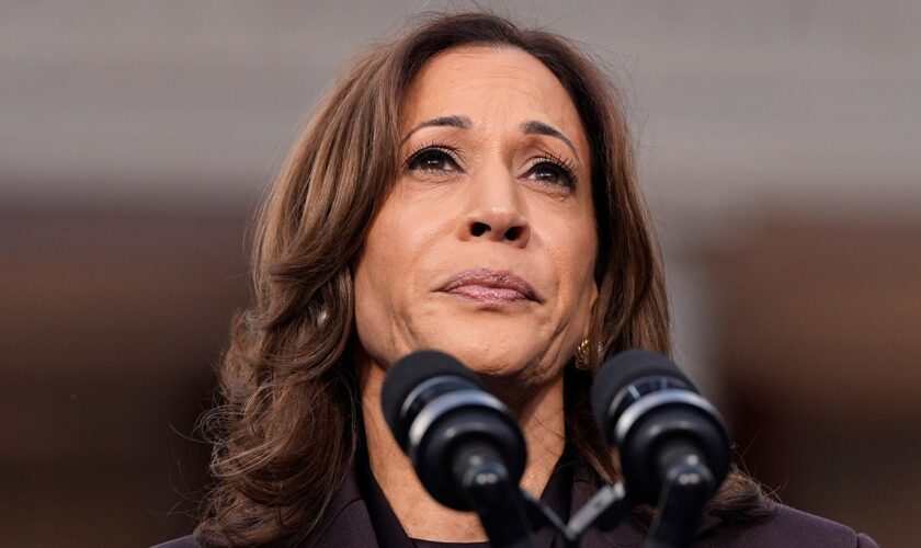 Here are the top 5 Democrats who could lead the party after Kamala’s fall