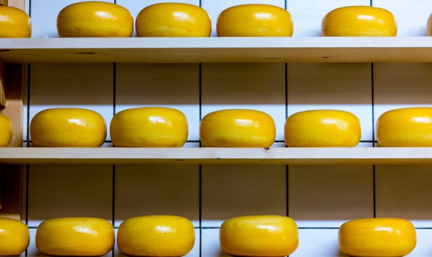 Pourquoi le fromage de luxe est-il devenu la cible d'un trafic organisé florissant?