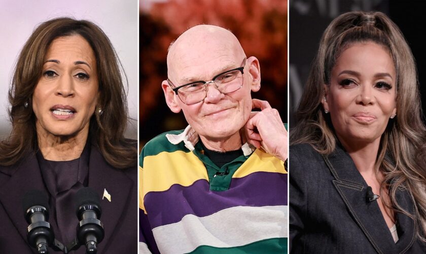 James Carville says Kamala Harris' failed campaign could be reduced to Sunny Hostin's question on 'The View'