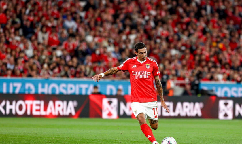 DIRECT. Benfica - Porto : la course au championnat terminée pour le vaincu, suivez l'avant match