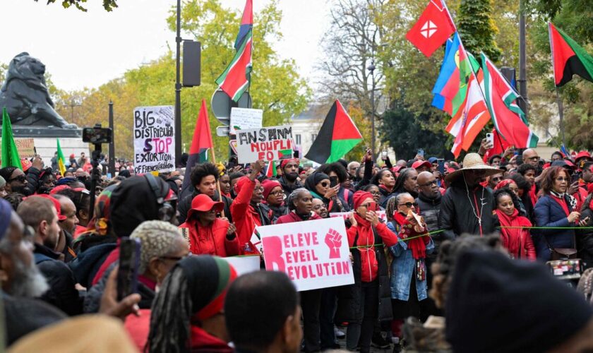 À Paris, des milliers de personnes « vent debout » contre la vie chère en Outre-mer