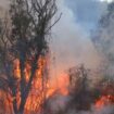 COP29: Weltklimakonferenz in Aserbaidschan beginnt - Ein Härtetest für Klimaschutz auch ohne USA