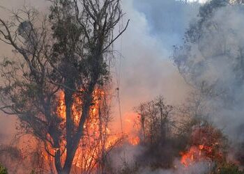 COP29: Weltklimakonferenz in Aserbaidschan beginnt - Ein Härtetest für Klimaschutz auch ohne USA