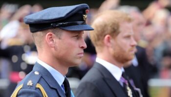 Prince William leans on support from unlikely ally with close link to Prince Harry