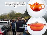 Is it really worth queuing 4 hours for Le Creuset? After sale of the posh pots caused chaos, expert reveals the 3 pieces that will make your kitchen look upmarket (and how to get them on the cheap!)