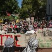 Pro-Palestinian protesters plan anti-Veterans Day gathering at Columbia University: 'DISGUSTING'