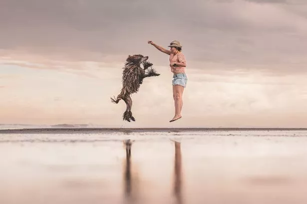 World's best animal pictures unveiled proving we're as devoted to pets as ever