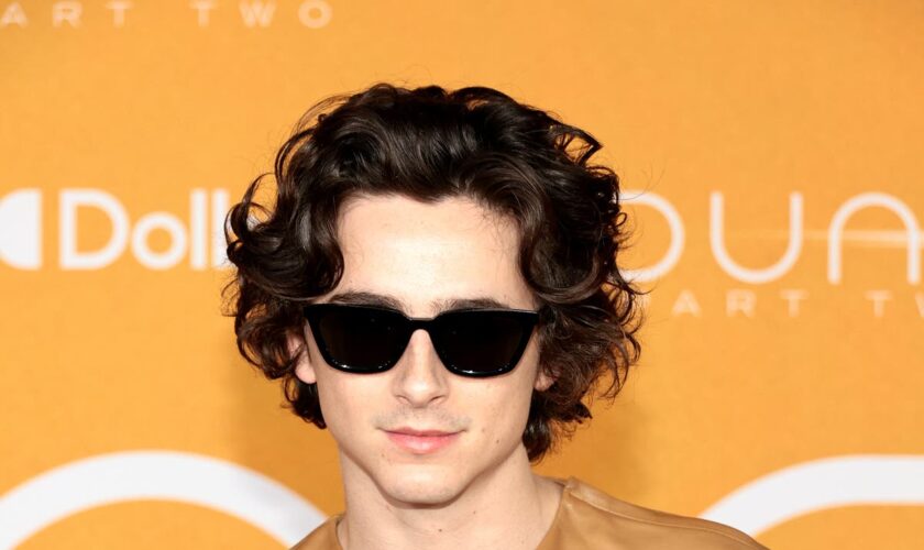 Timothée Chalamet reveals advice agent gave him to help land big movies when he was younger