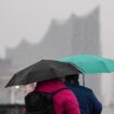 Im Regen tragen zwei Menschen in Hamburg Regenschirme, während im Hintergrund die Elbphilharmonie steht