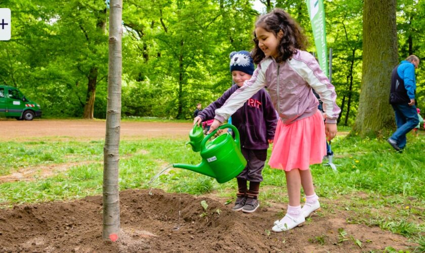 Eltern-Kolumne „Schlaflos“: Ungerechte Schulnoten – Wenn die Form wichtiger ist als der Inhalt