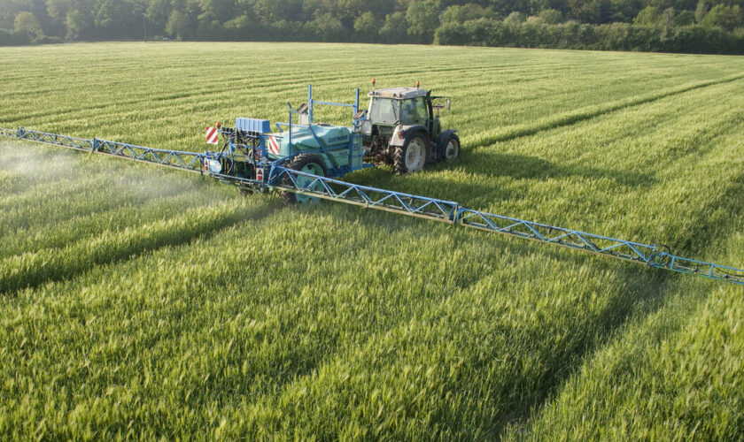 Pfas : plus de la moitié des Français consomment une eau potable contaminée par un polluant éternel, non conforme aux normes de qualité