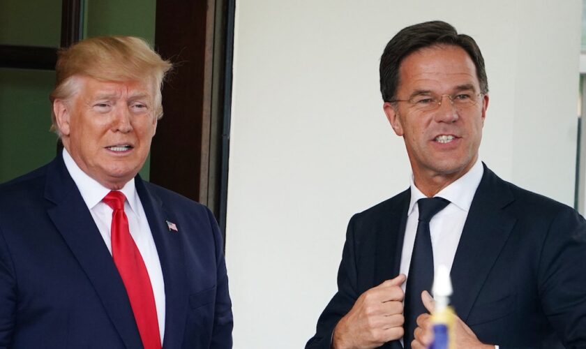 Le président américain Donald Trump salue le Premier ministre néerlandais Mark Rutte alors qu'il arrive pour une réunion dans l'aile ouest de la Maison Blanche à Washington, DC, le 18 juillet 2019. (Photo MANDEL NGAN / AFP)