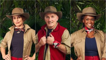 I’m a Celebrity’s 2024 lineup is far too nice. Where are the dreadful politicians?