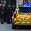 Police activity outside the Houses of Parliament after a 34-year-old man was arrested on suspicion of possession of an offensive weapon in a public place after reports of someone carrying knives outside the Parliament building. Picture date: Tuesday November 12, 2024.