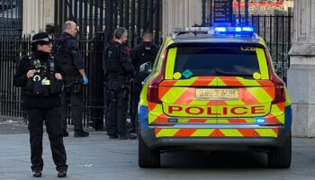 Police activity outside the Houses of Parliament after a 34-year-old man was arrested on suspicion of possession of an offensive weapon in a public place after reports of someone carrying knives outside the Parliament building. Picture date: Tuesday November 12, 2024.