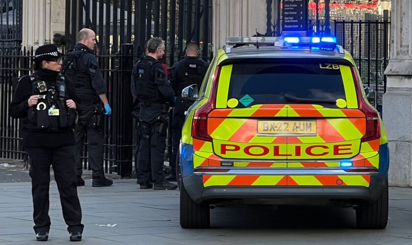 Police activity outside the Houses of Parliament after a 34-year-old man was arrested on suspicion of possession of an offensive weapon in a public place after reports of someone carrying knives outside the Parliament building. Picture date: Tuesday November 12, 2024.