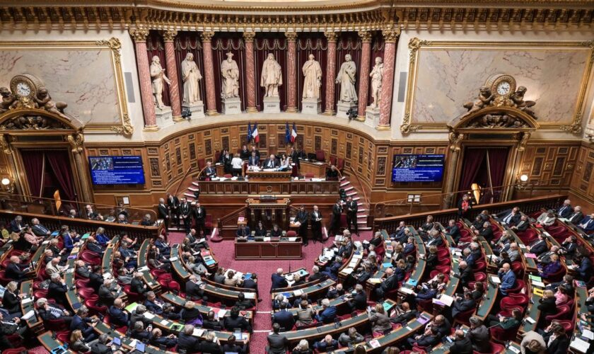 Le Sénat propose une réduction du budget de l’Aide médicale d’Etat