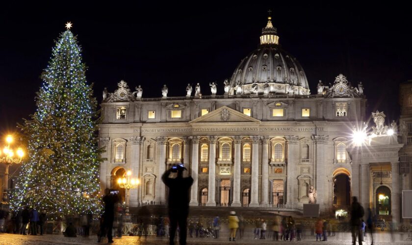 En Italie, des militants écolos exhortent le pape à ne pas « sacrifier » un arbre vieux de 200 ans pour Noël