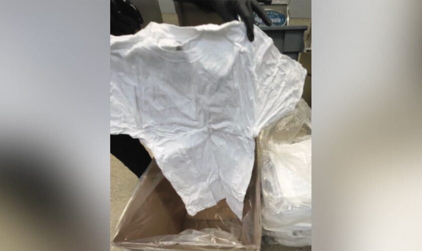 British woman busted at Los Angeles airport with meth-soaked T-shirts: police