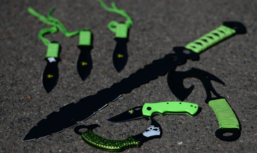 Zombie knives. Pic: PA