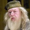 Harry Potter TV show’s first choice for Dumbledore ‘revealed’