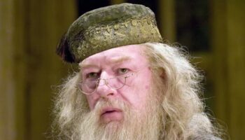 Harry Potter TV show’s first choice for Dumbledore ‘revealed’