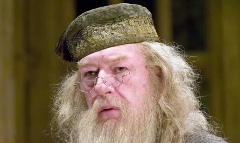 Harry Potter TV show’s first choice for Dumbledore ‘revealed’