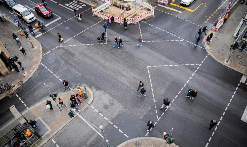 Autoritarismus-Studie: Zufriedenheit mit der deutschen Demokratie nimmt stark ab