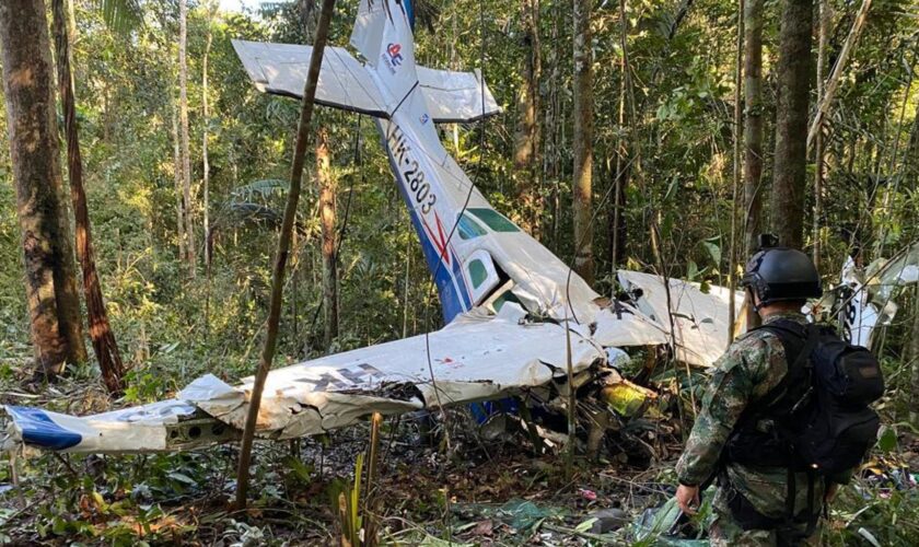 Sur Netflix, un documentaire sur l’incroyable histoire des « enfants perdus » de la jungle colombienne