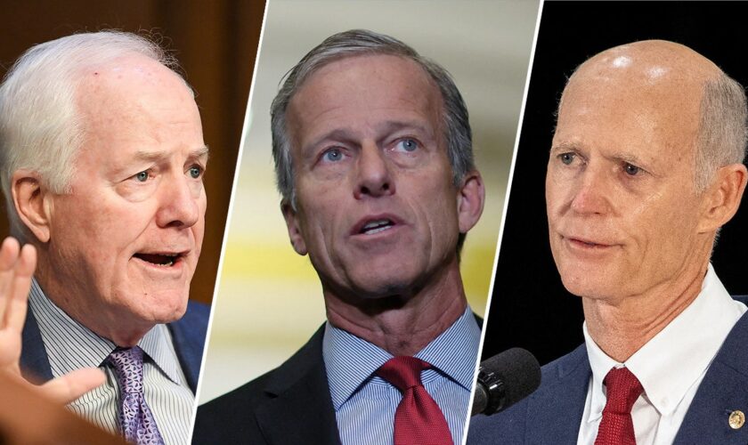 Rick Scott knocked out of Senate leader race on first ballot as Thune and Cornyn advance